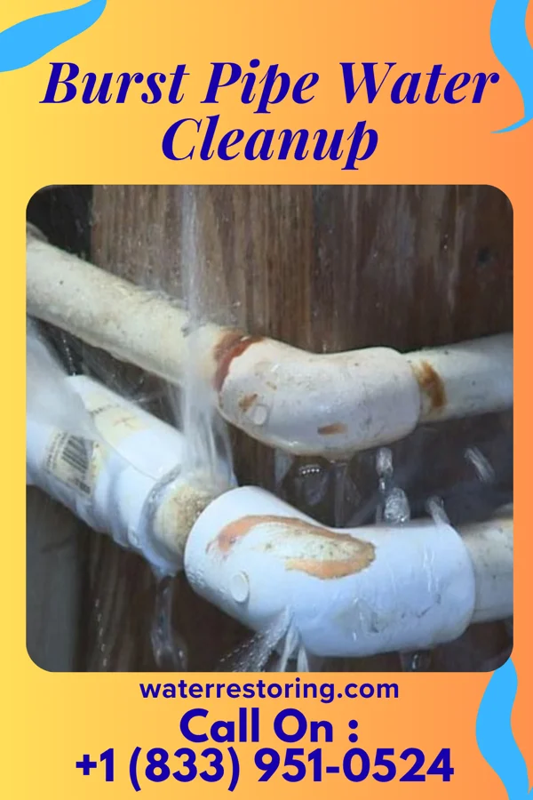 Burst Pipe Water Cleanup in Black Earth, WI