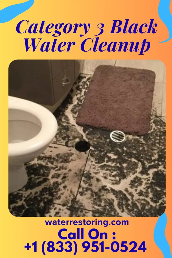 Category 3 Black Water Cleanup in Black Earth, WI