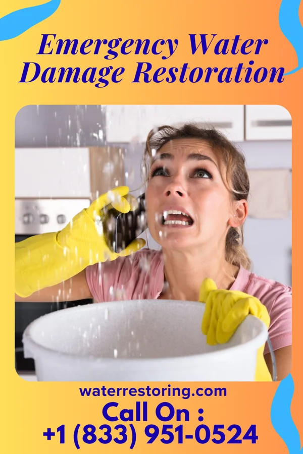 Emergency Water Damage Restoration in Black Earth, WI