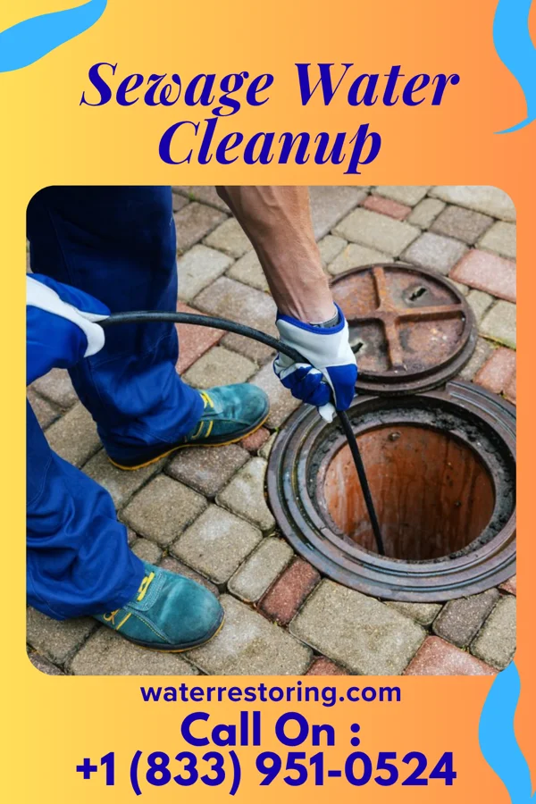 Sewage Water Cleanup in Black Earth, WI